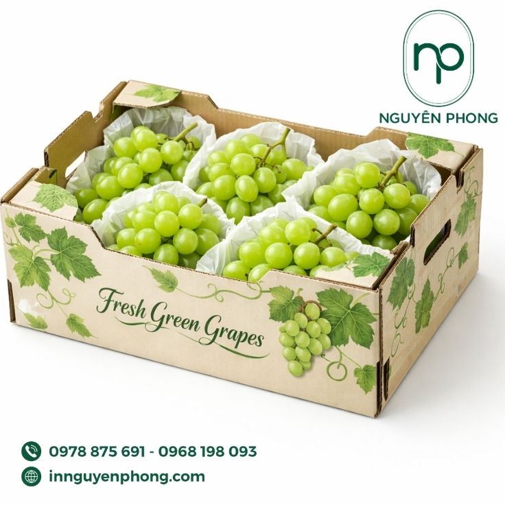 Mẫu thùng carton đựng trái cây in màu đẹp